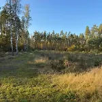 Warmia Bukowy Woryty
