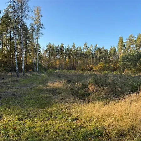 Warmia Bukowy Woryty