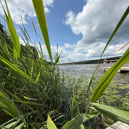 Warmia Bukowy * Woryty