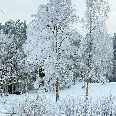 Warmia Bukowy *
